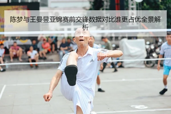 陈梦与王曼昱亚锦赛前交锋数据对比谁更占优全景解析